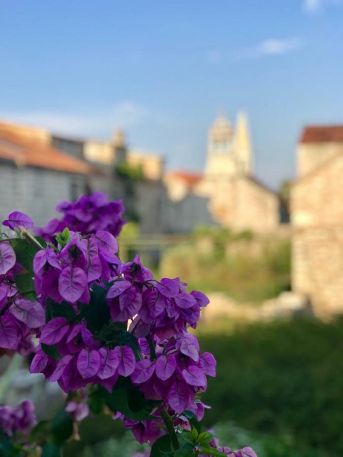 스타리 그라드 Apt Bobotovi In Center Of Stari Grad, Hvar 아파트 외부 사진